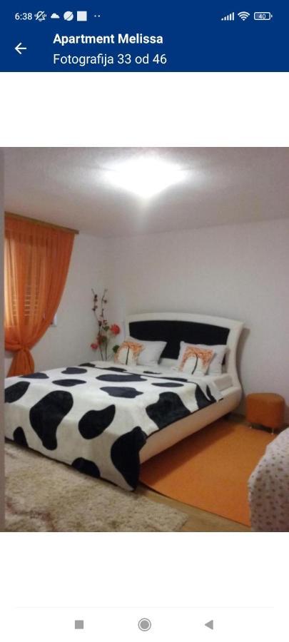 Apartament Melissa 1Apartman Rakovica Zewnętrze zdjęcie